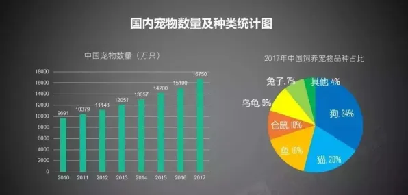大多数人对宠物经济爆发的理解都错了，量子门才是关键