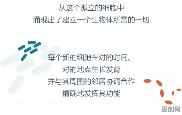 科学家发现工业数字孪生体实施案例分享的真正原因，与网络效应理论有关