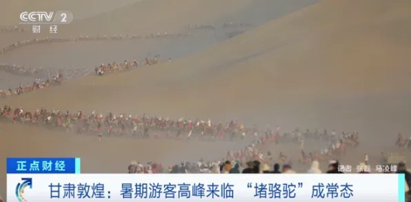 用量子演化策略解释特种兵旅游风靡全国，一切都说得通了