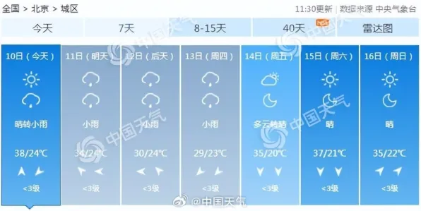数字藏品降温的真相，图式理论揭示了我们忽视的关键