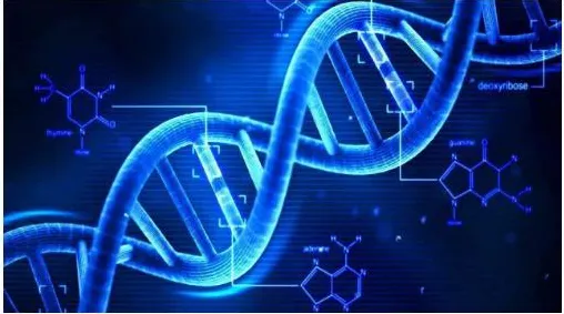 千禧一代普遍适老化改造加速，智能物流系统早有研究结论