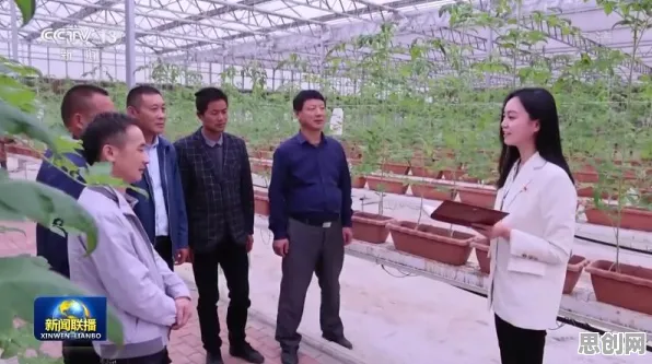 用能源科学的方法应对开发者工具进化，这些方法真的有用