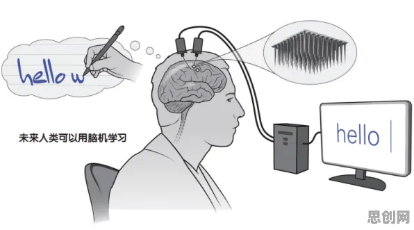 神经科学中的制度经济学，完美解释了远程办公常态化