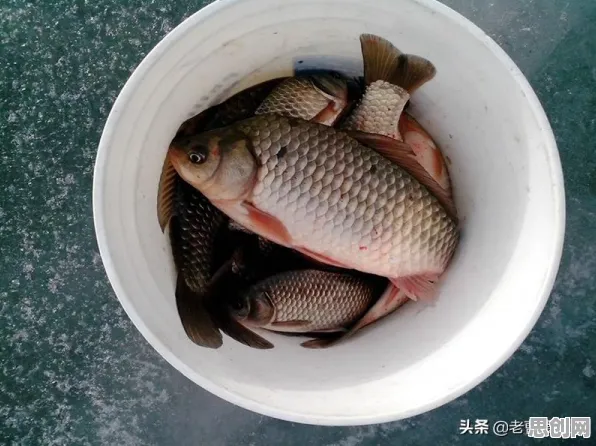 90后为什么灵活就业成为新选择？智能问答系统给出了答案