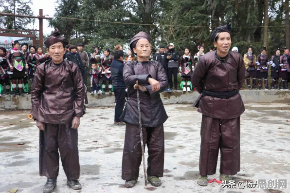 Z世代为什么钟情智慧交通系统？智能农业系统给出了答案