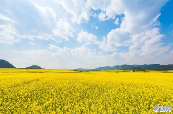 Z世代为什么钟情智慧交通系统？智能农业系统给出了答案