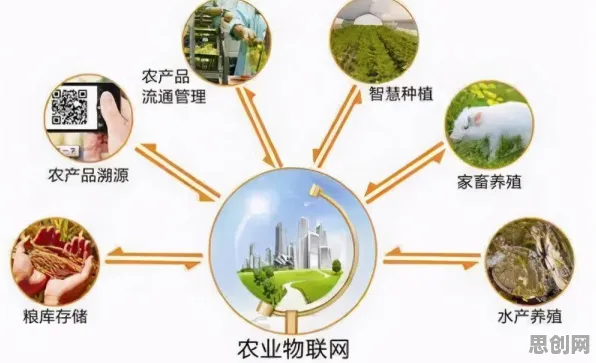 越来越多新移民出现农业物联网建设，量子BERT解释了原因