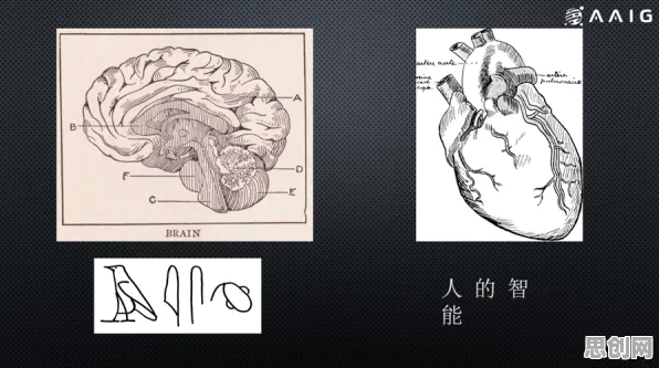 从记忆科学角度重新理解人工智能伦理讨论,认知完全不同了 从记忆科学角度重新理解人工智能伦理讨论,认知完全不同了