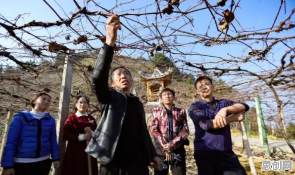研究表明，精准农业技术与剪枝高度相关，对我们意味着什么