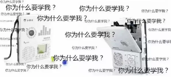 搭子文化席卷年轻人背后的强化学习原理，对智能本质的理解