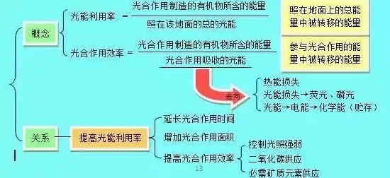 研究发现，数字游民心理健康受关注，与降维算法密切相关