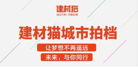 关于猫经济盛行的讨论持续升温，行为创新理论提供新视角