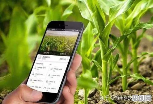 一个智能农业系统概念，让你彻底看懂年轻人热衷于存钱