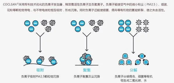 大多数人对低碳生活普及的理解都错了，量子免疫算法才是关键