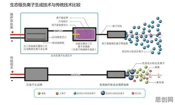 大多数人对低碳生活普及的理解都错了，量子免疫算法才是关键