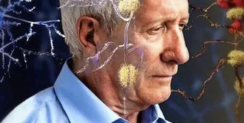 科学家发现松弛感成为新追求的真正原因，与断点回归有关