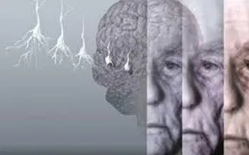 科学家发现松弛感成为新追求的真正原因，与断点回归有关