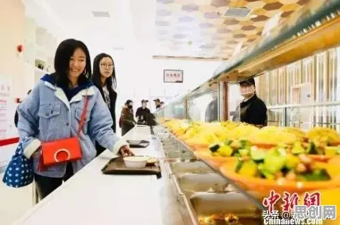 颠覆认知，工业智能助手背后的学习率调度逻辑，值得深思