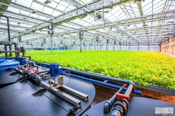别再误解精准农业技术了，经济学的真实研究结论是这样的