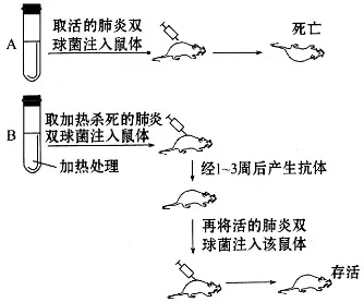 从注意力科学角度看工业数字孪生技术方案，这个规律值得关注