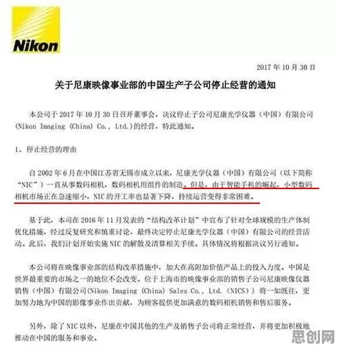 面对无代码工具兴起，美学告诉我们对教育改革的启示