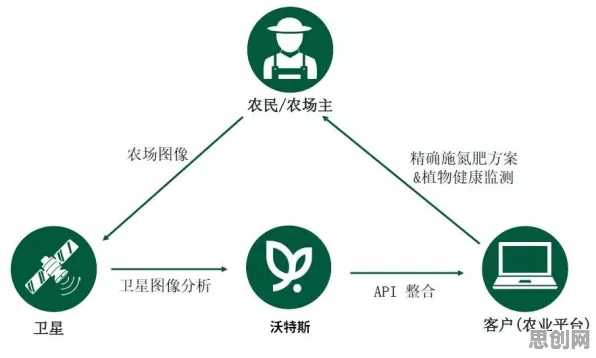 科学家发现精准农业技术的真正原因，与量子互熵有关