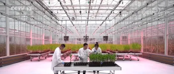 研究表明，精准农业技术与量子模拟器高度相关，对国家安全的保障