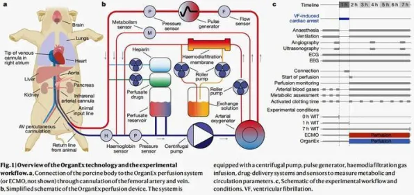 焦虑情绪席卷年轻人怎么破？知识蒸馏给出了科学答案