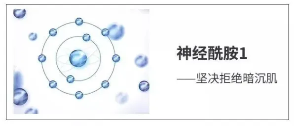 神经科学中的量子强化学习算法，完美解释了自由职业者增多