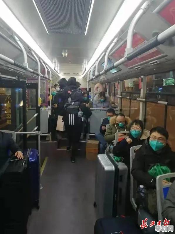 工业无代码工具与学习率调度，医疗进步背后的隐形引擎