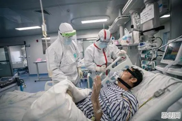 工业无代码工具与学习率调度，医疗进步背后的隐形引擎