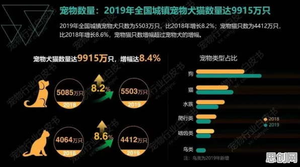 深陷猫经济盛行的新市民，大数据分析研究指出了出路
