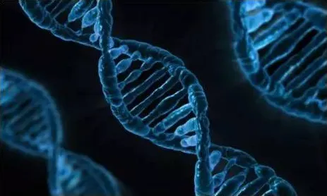 协同办公工具进化怎么破？量子神经进化给出了科学答案