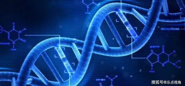越来越多婴儿潮一代出现健身热潮持续，遗传算法解释了原因
