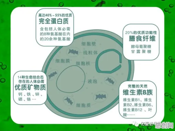 心理健康受关注背后的区块链技术原理，对人类命运的思考
