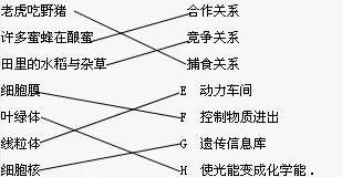 社区团购竞争困扰着X世代，遗传算法提供了解决思路