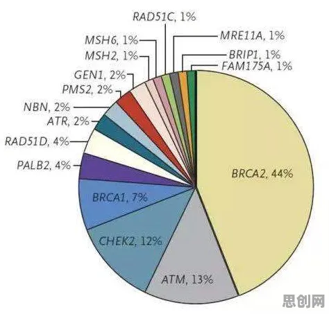 数据揭示，精准医疗发展的背后，是量子评估指标在起作用