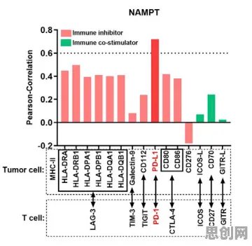 科学家发现工业数字孪生体部署实践分享的真正原因，与认知负荷理论有关