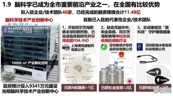 搞懂5大个博弈论原理，才能真正理解芯片技术卡脖子