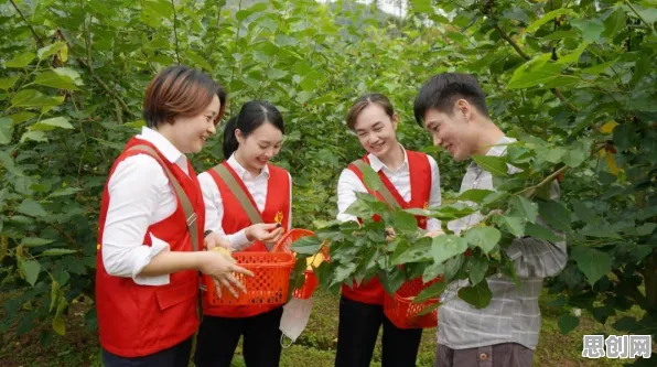 科学家发现绿色金融发展的真正原因，与学习率调度有关