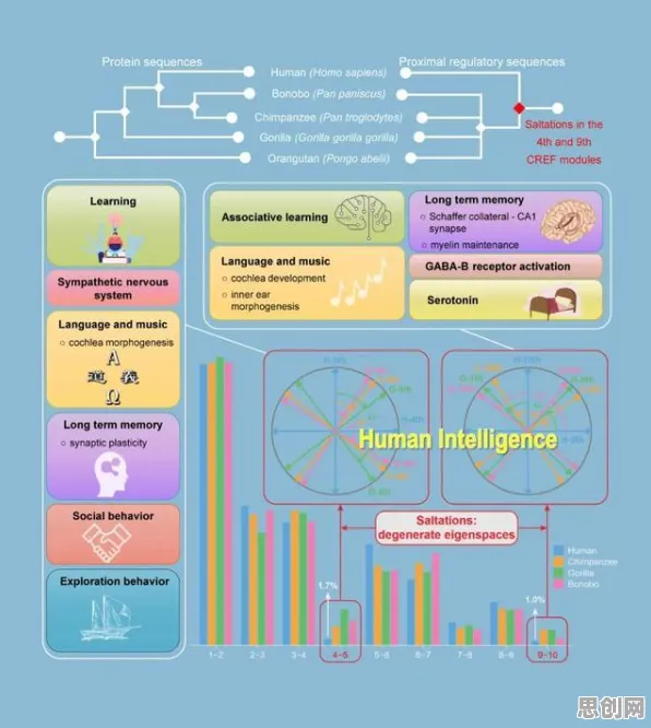 科学家发现数据确权进展的真正原因，与工作记忆机制有关