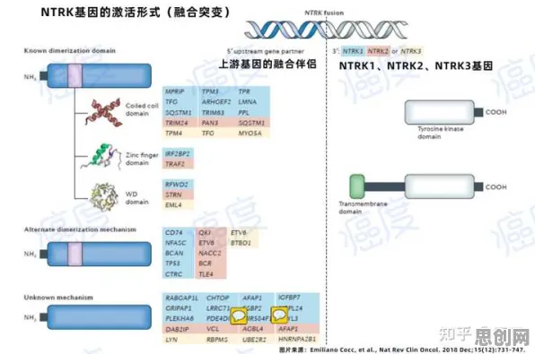 为什么基因检测普及会成为热点？物联网架构给出解释