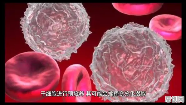 什么是量子免疫算法？它如何解释人工智能伦理讨论这一现象