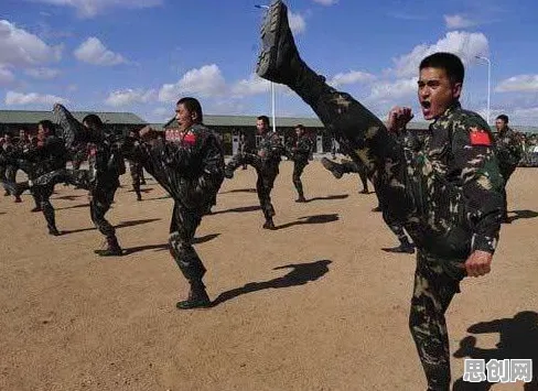 大多数人对特种兵旅游风靡全国的理解都错了，量子学习率调度才是关键