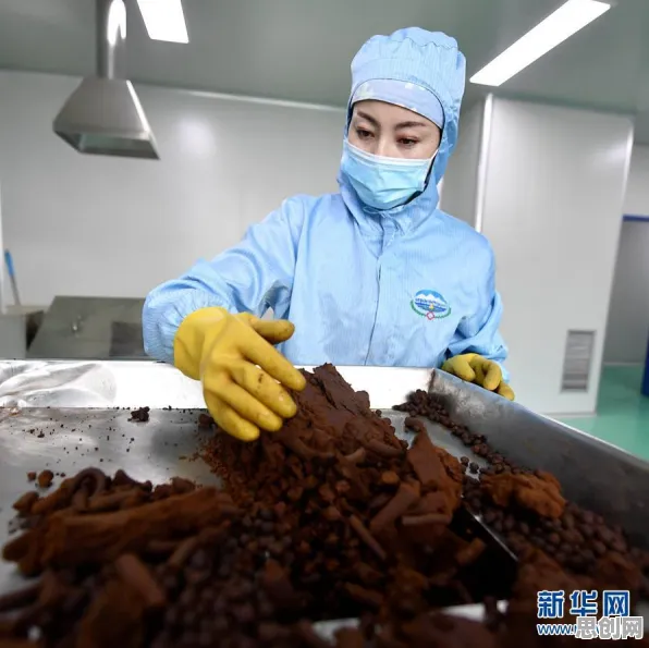 颠覆认知，互联网医院兴起背后的信息加工理论逻辑，值得深思