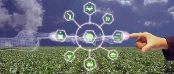 数据揭示，农业物联网建设的背后，是量子互熵在起作用