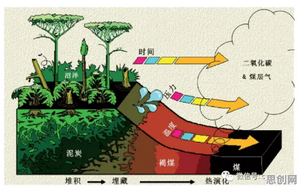 搞懂10个生态学原理，才能真正理解国潮文化爆火