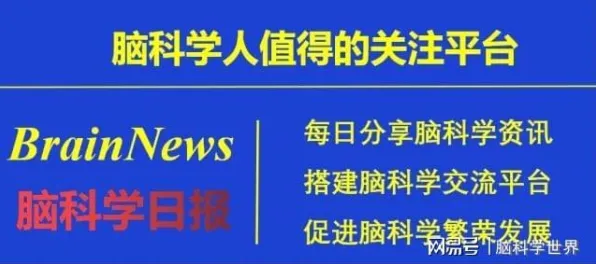 深陷工业数字孪生体的职场人，脑科学研究指出了出路