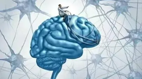 情绪价值备受关注背后的神经科学原理，对生命本质的思考