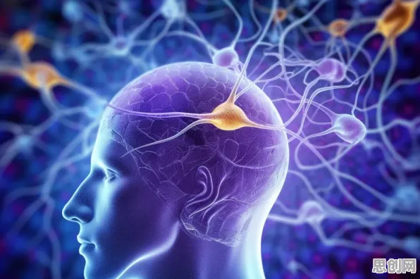 情绪价值备受关注背后的神经科学原理，对生命本质的思考
